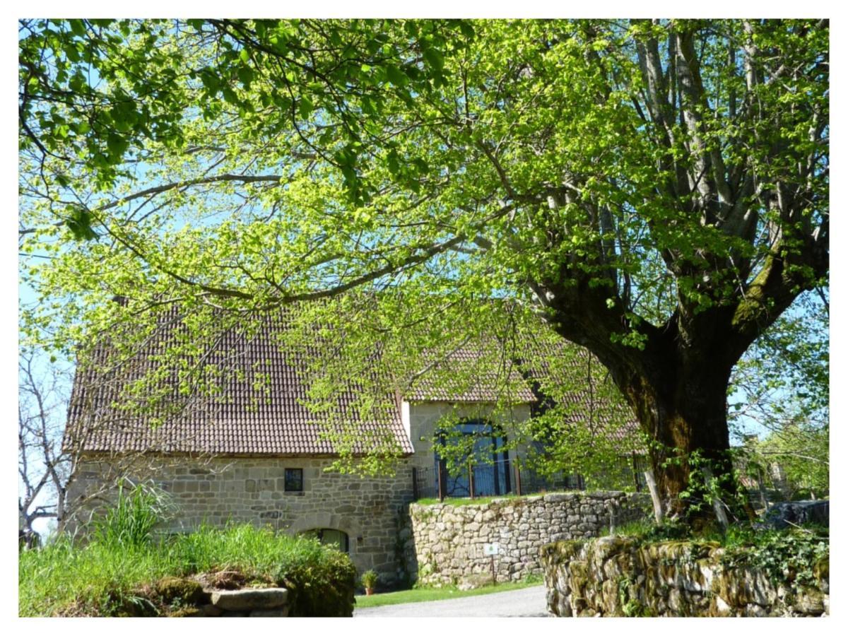 A L'Ombre Du Tilleul Comiac Exterior foto